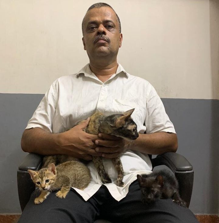 Prakash with his cat family