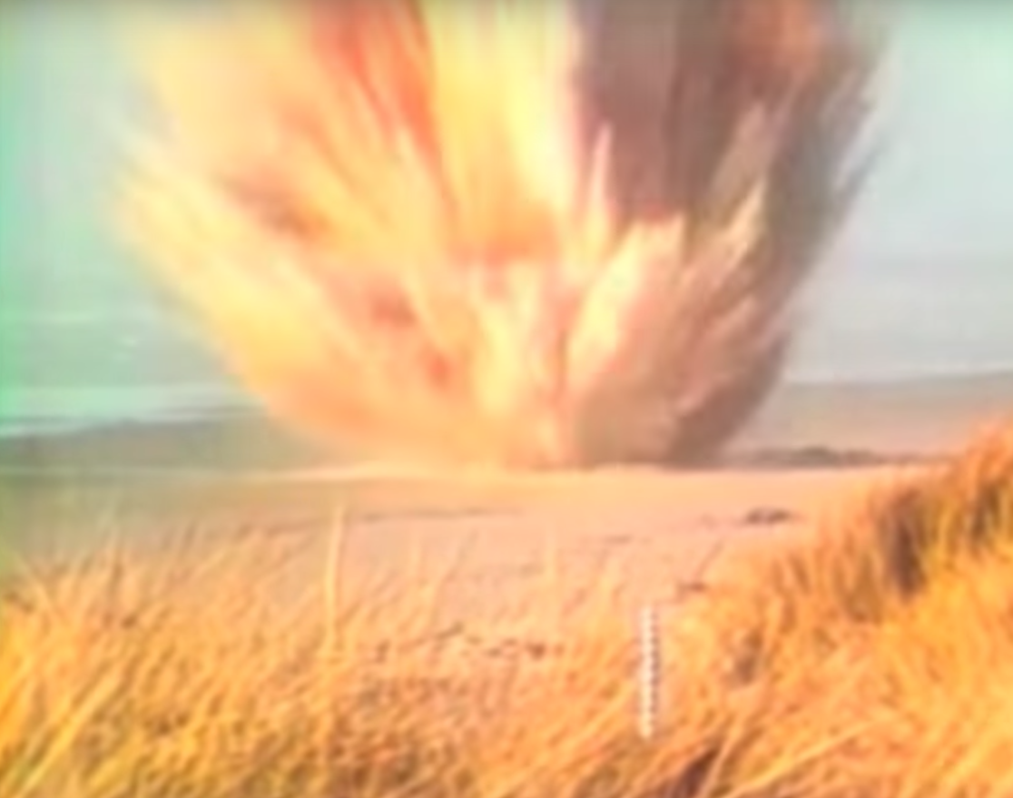 Exploding Sperm Whale Analogy Highlights The Importance Of Staying Home