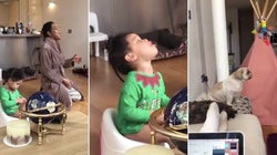 Cette vidéo résume parfaitement le chaos de nos vies en