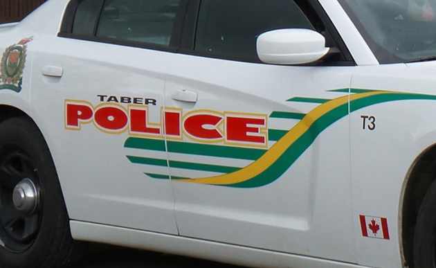 Les Fausses Plaques Circulent Elles La Presse