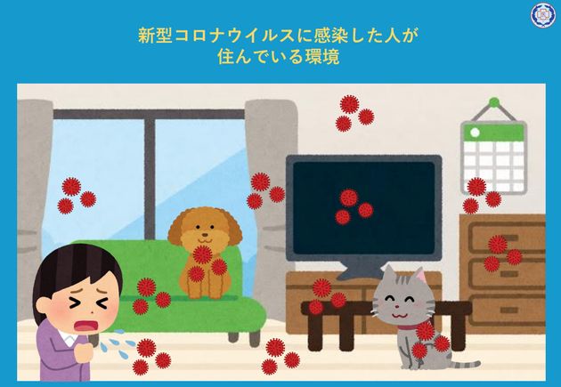 新型コロナウイルスに感染した人が飼っているペットを預かるために知っておきたいこと