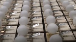 ‘사회적 거리두기’ 호소하는 미국 주정부의 놀라운 광고