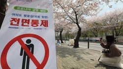 11일, 12일 주말 여의도 한강공원 주차장