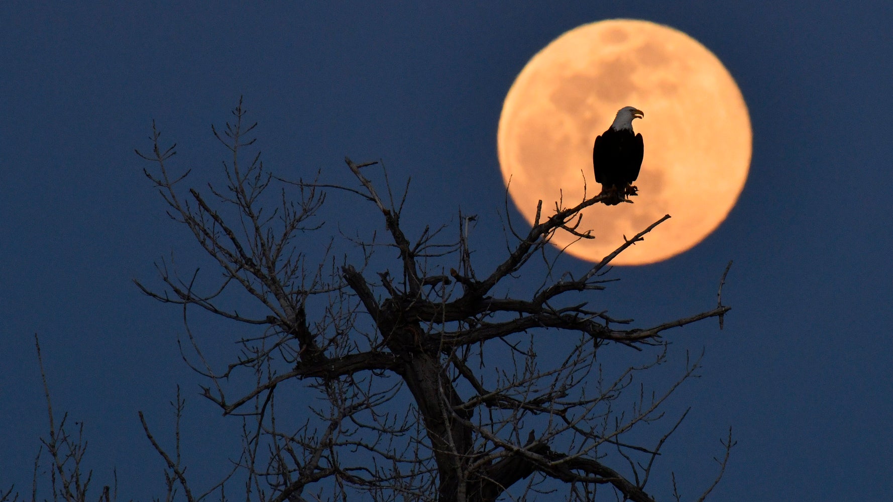 12 Amazing Photos You Missed This Week