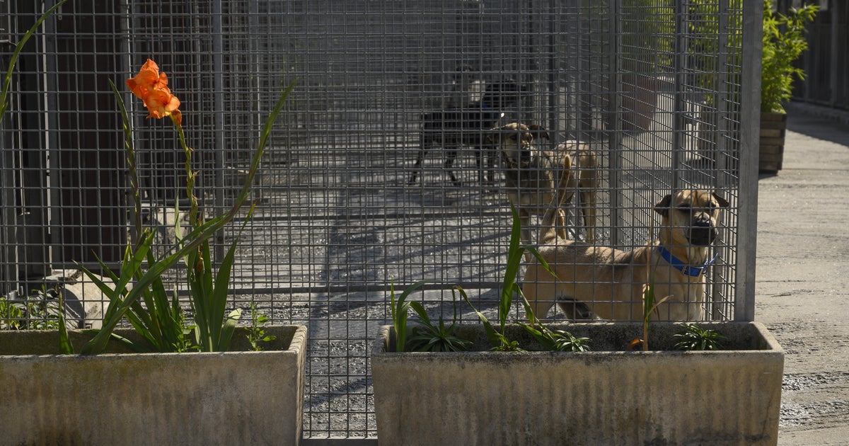 Coronavirus une dérogation au confinement accordée pour l