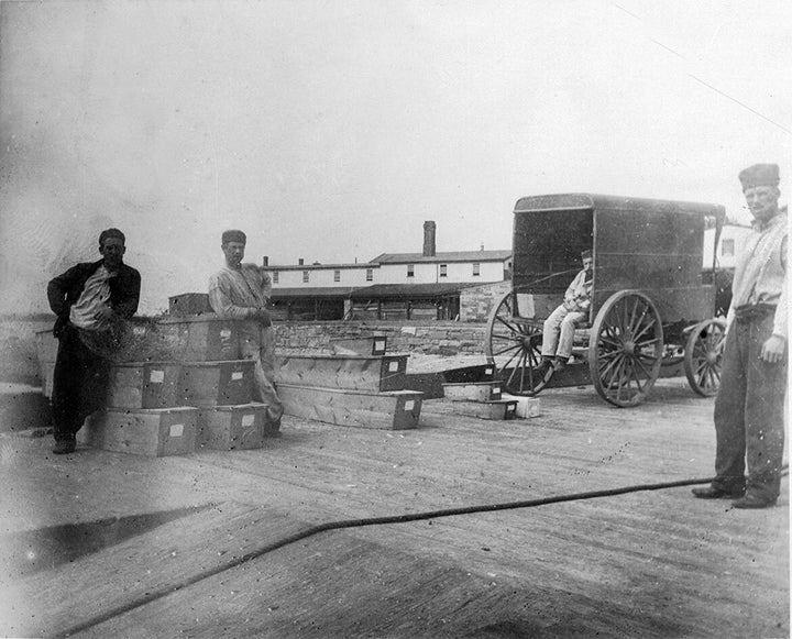 The Hart Island Project 