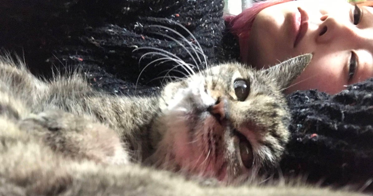 ひとりハレの日」をつくろう。アガるごはんと愛猫との暮らし、猫沢エミ
