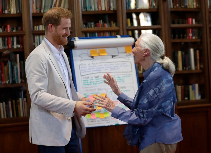 The Duke of Sussex and Dr. Jane Goodall hug as he attends Dr. Jane Goodall's Roots & Shoots Global Leadership Meeting at