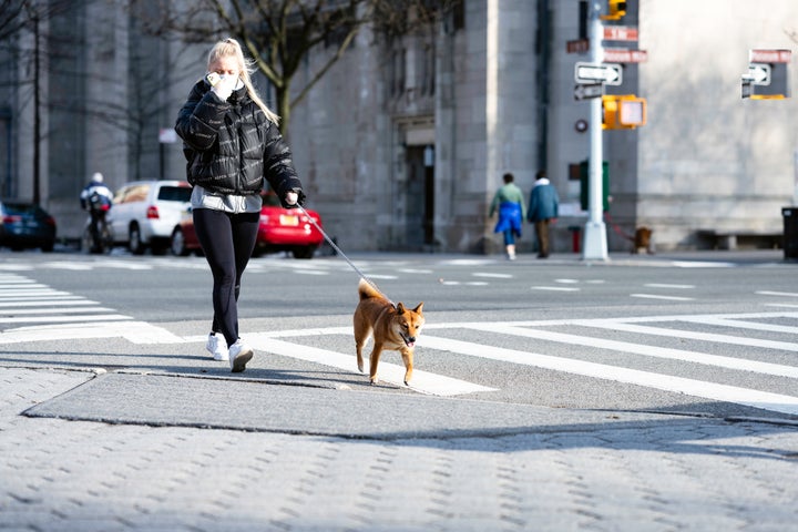 Switch up your dog's walking routine, while practicing some new commands.