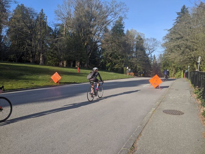 Cyclists take advantage of a closed road in Vancouver's Stanley Park. 