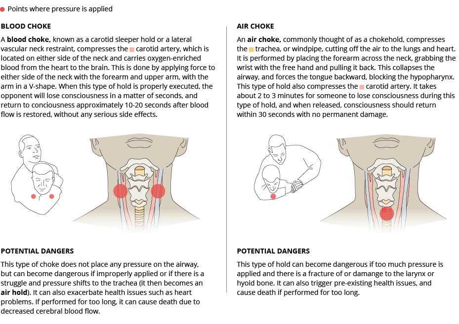 <strong>How A Chokehold Works</strong><strong>Sources:</strong> Marine Corps Martial Arts Program; Forensic Pathology, Second Edition