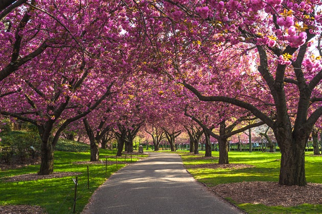 The Wondrous World Of Nature Is Right In Front Of Us – And We've Never Appreciated It