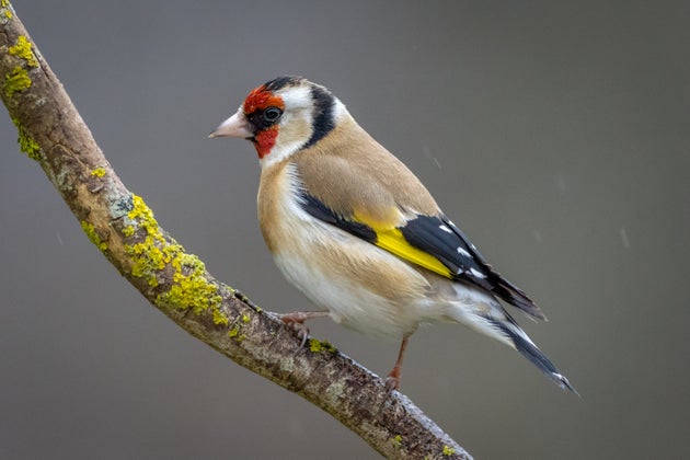 The Wondrous World Of Nature Is Right In Front Of Us – And We've Never Appreciated It
