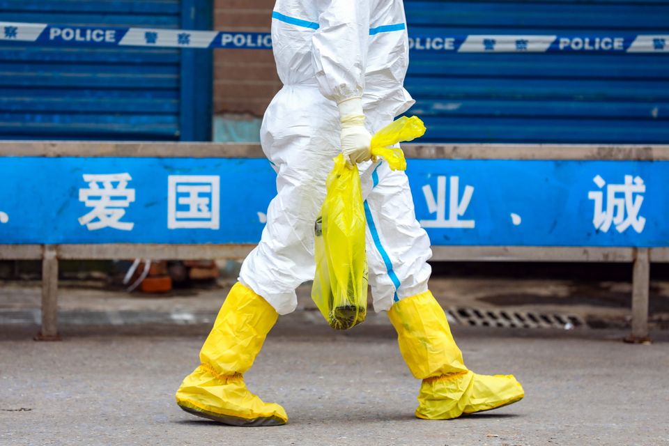 A worker in Wuhan, China, takes away an escaped giant salamander just caught in Huanan Seafood Market on Jan. 27. The market was shut down due to its connection to the first 2019-nCoV cases.