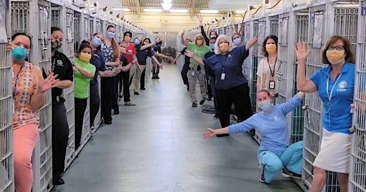 South Florida Animal Shelter Celebrates FirstEver Empty Kennel