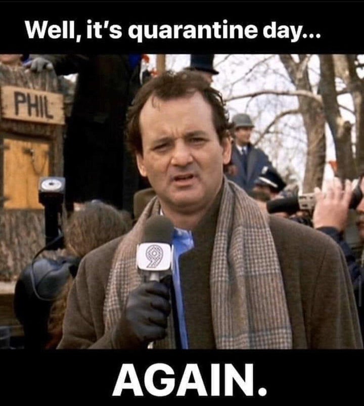 Will Murray, en la película 'El día de la marmota'.