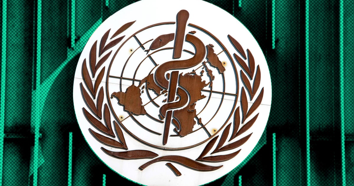 What Does The World Health Organisation Do? | HuffPost UK News