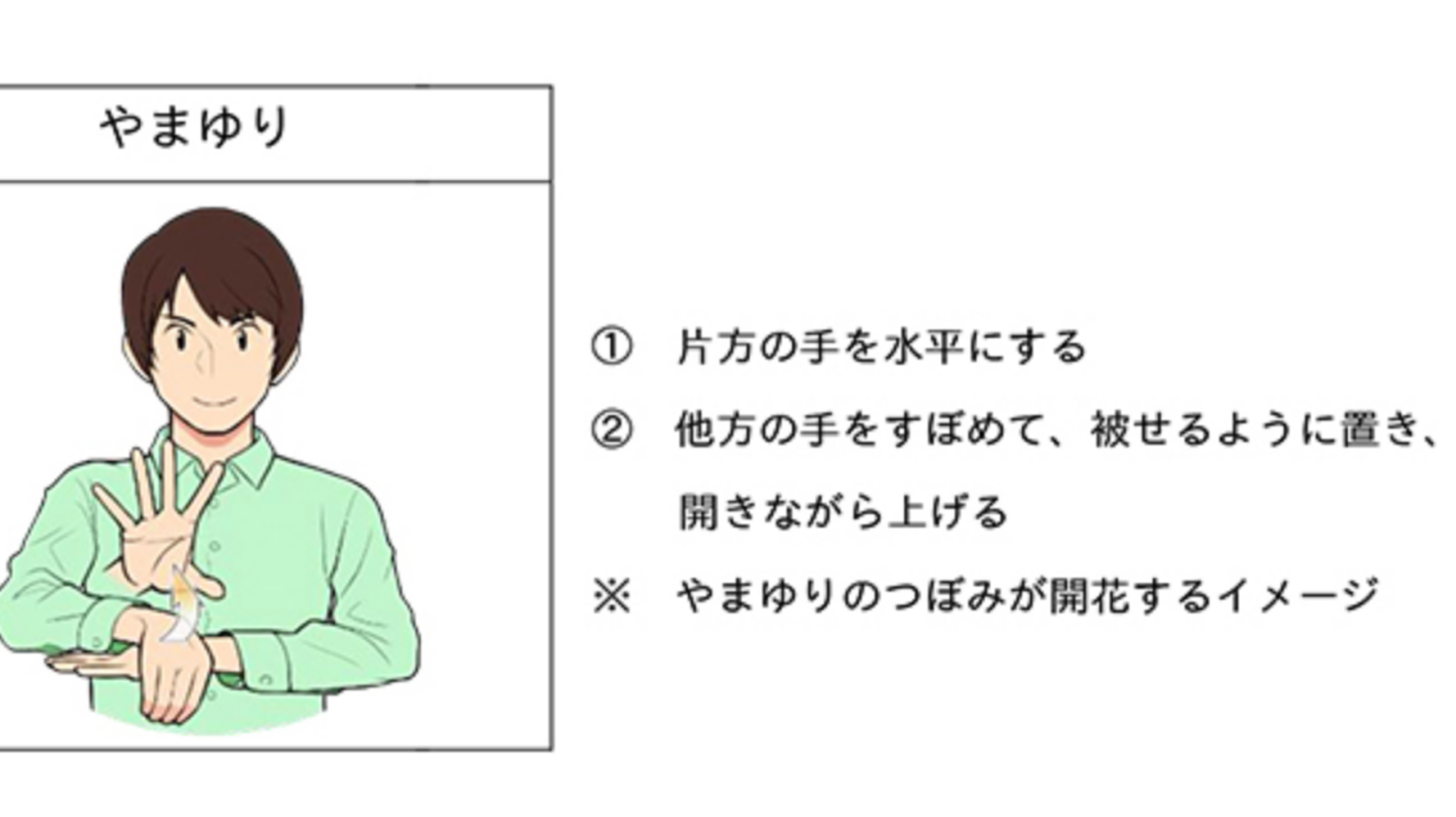 事件を風化させないために やまゆり を標準手話として登録 ハフポスト News 事件を風化させないために やまゆり を標準手話として登録 ハフポスト News