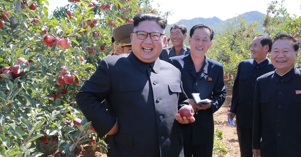 North Korea S Kim Jong Un Not Brain Dead Or Gravely Ill Says
