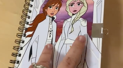 La sorpresa de una madre al encontrar una lista de juguetes sexuales en el diario de 'Frozen' de su