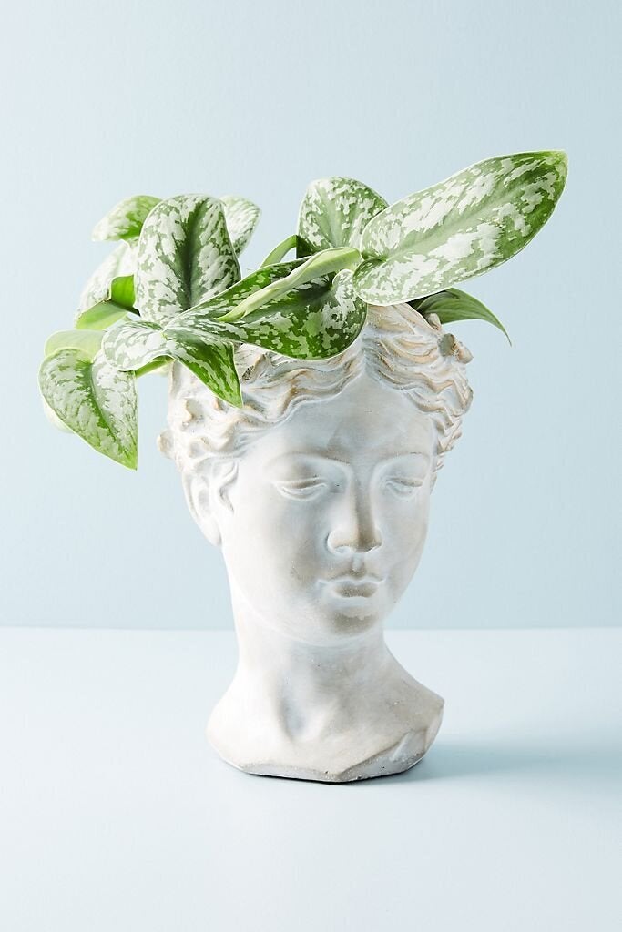 The 25 Cutest Pots And Planters For All Of That Gardening You're Doing