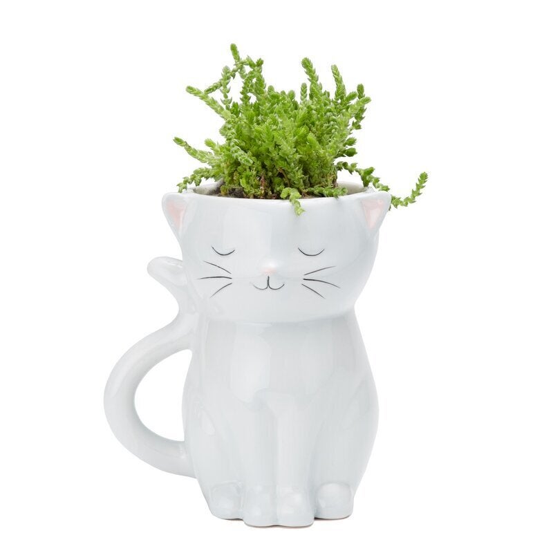 The 25 Cutest Pots And Planters For All Of That Gardening You're Doing