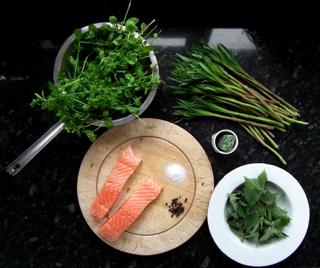  Chickweed, Fireweed, Nettle, Wild Garlic and Salmon