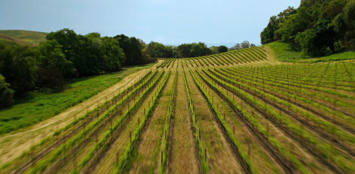 A scene in "Wine Country."