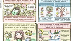 ¿Cómo la investigación puede ayudar a los pacientes de cáncer con