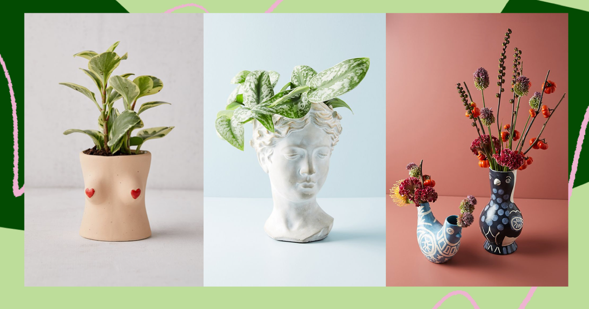 Indoor Plant Pots: All You Need to Know