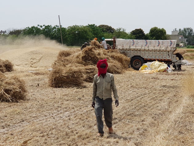 The farmers are expecting a manifold increase in terms of farm expenses due to high labour cost and a...