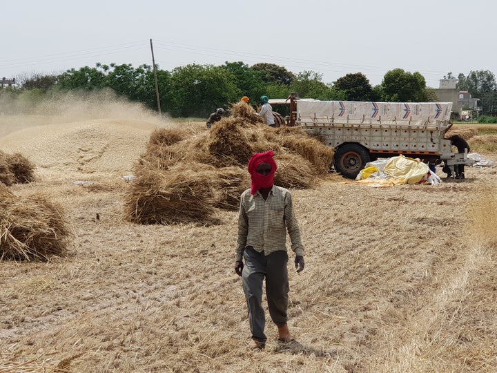 The farmers are expecting a manifold increase in terms of farm expenses due to high labour cost and a procurement capping of 50 quintals wheat on every farmer on a single day.