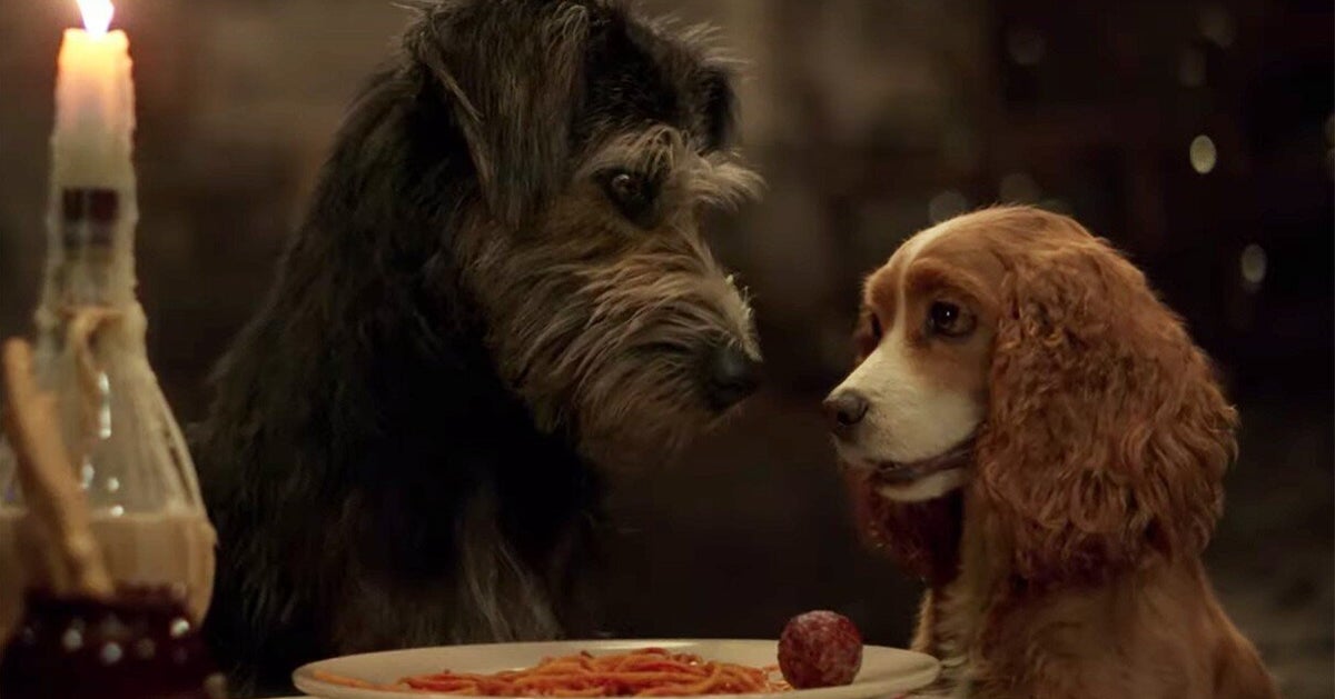 Chien La Belle Et Le Clochard Ce que "La Belle et le Clochard" sur Disney+ révèle des maîtres et