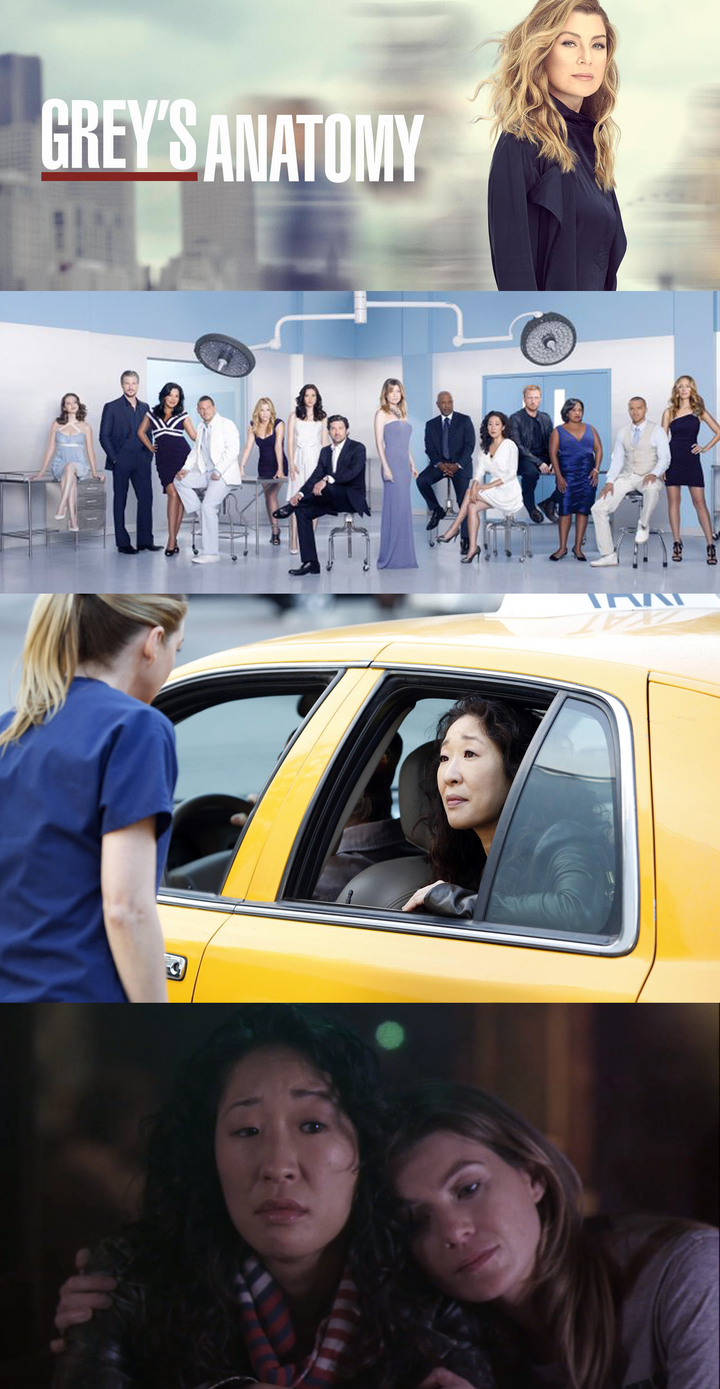 그레이 아나토미(Grey's Anatomy)
