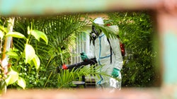 En Outre-mer, la dengue tue parfois davantage que le