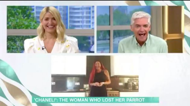 Chanel The Parrots Rise To Fame Is Complete As Viral Star Makes This Morning Appearance