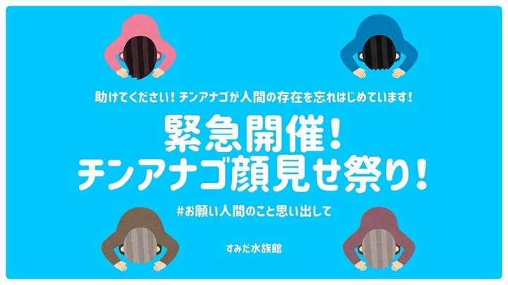 すみだ水族館が公開した「チンアナゴ顔見せ祭り」のポスター