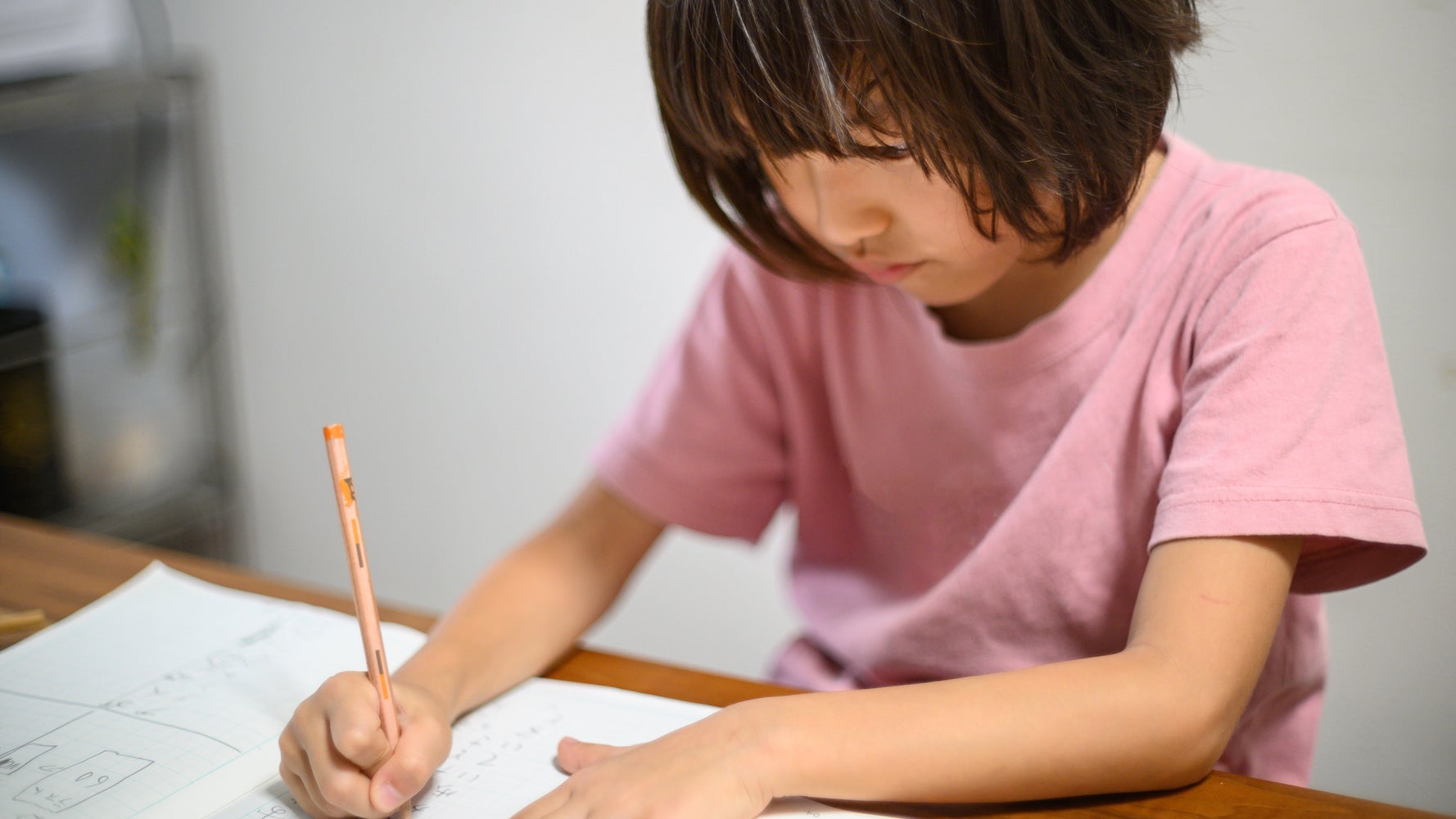 小学生におすすめのドリルは 楽しく学べる 人気のドリル5選 ハフポスト