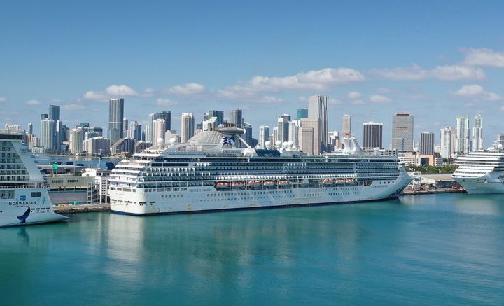 Things aren't looking great for the cruise industry, but experts don't believe it will disappear completely.