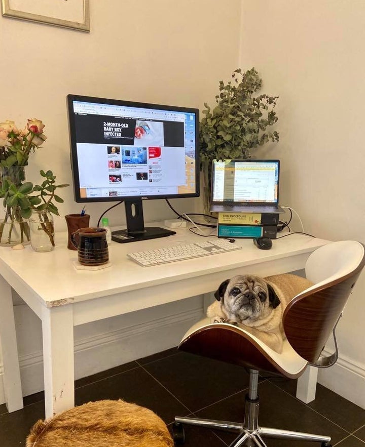 Like many of us, my WFH space is a kitchen table shoved in a corner (feat my pug Winston). 