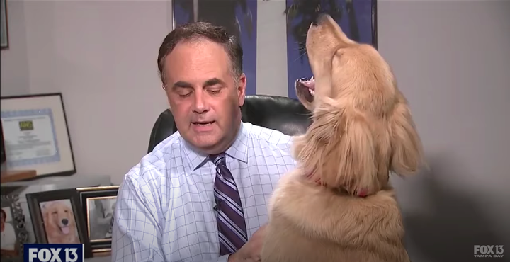 The moment meteorologist Paul Dellegatto is interrupted by Brody mid-broadcast.