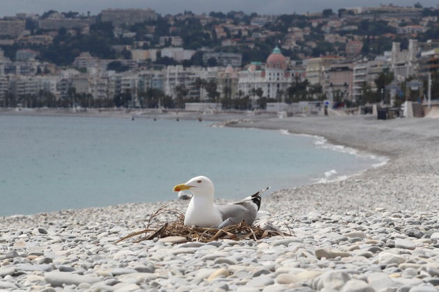 La plage déserte à Nice, le 27 avril