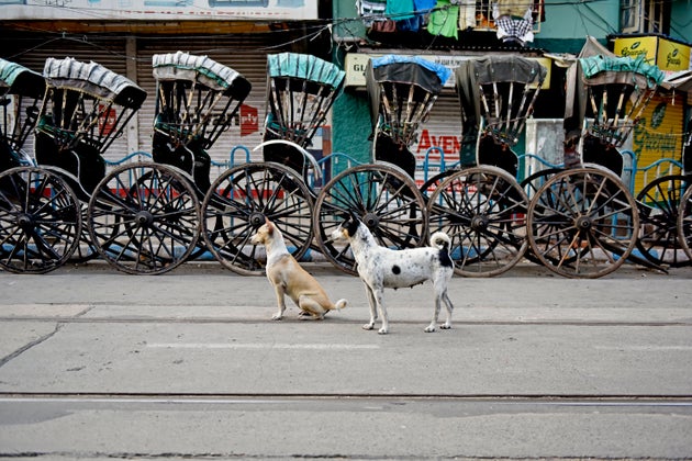 A deserted street during a government-imposed nationwide lockdown as a preventive measure against the...
