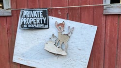 Ιδρυμα Ωνάση «Enter»: Εργα από το σπίτι μέσα σε 120 ώρες (κήποι, ταράτσες, παιδιά, σύζυγοι,