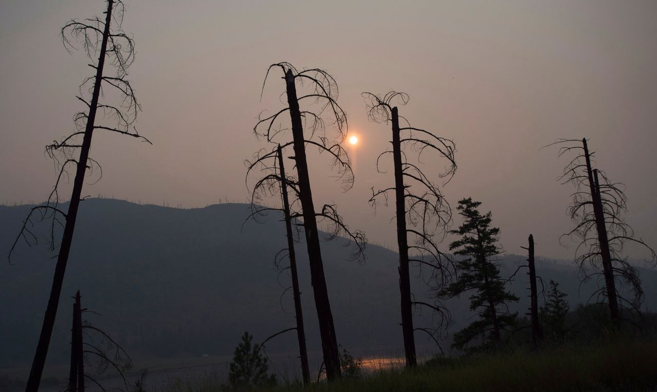 Burnt trees are pictured in front of a smoke-filled sky near Old Fort, B.C., on July 11, 2017.