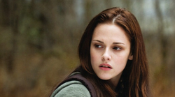 Η συγγραφέας του «Twilight» ανακοίνωσε το νέο βιβλίο της σειράς (και το twitter