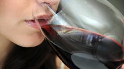 Curso de cata de vinos españoles (1): Actualidad del vino en