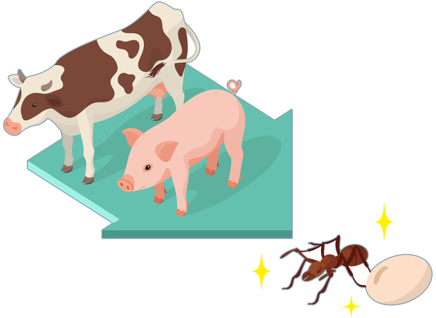 「ポストお肉」は昆虫?
