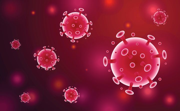 The "spikes" on the novel coronavirus are what the virus uses to attach to your cells and make you sick.