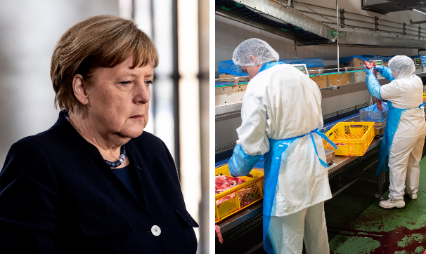 La cancelliera Merkel; un impianto di lavorazione carne in